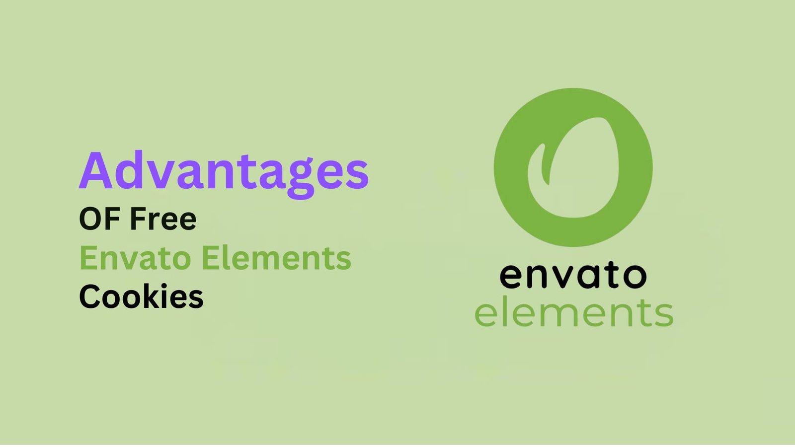 Envato Elements Account Cookies