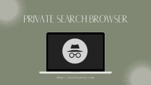 Private Search Browser