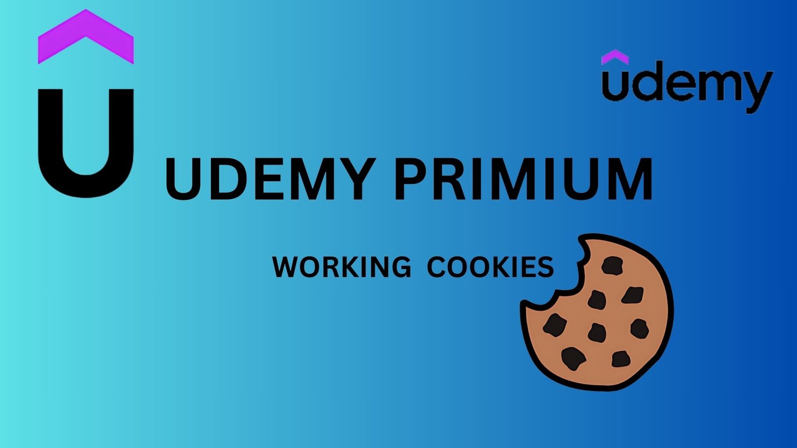 udemy premium account cookies