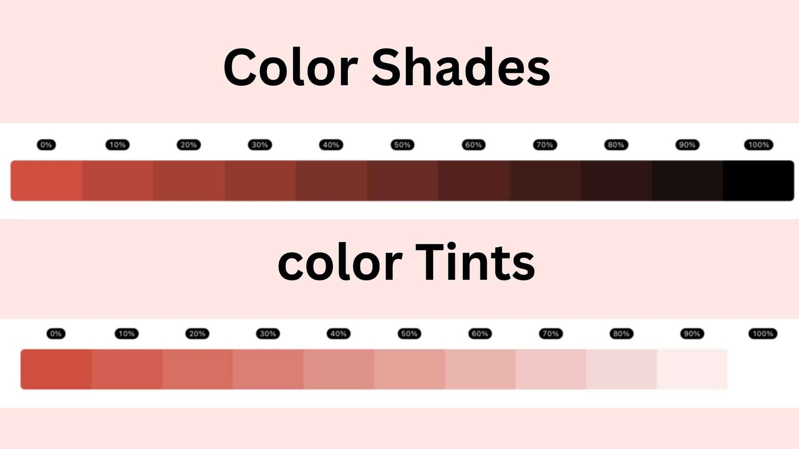 shades & tints