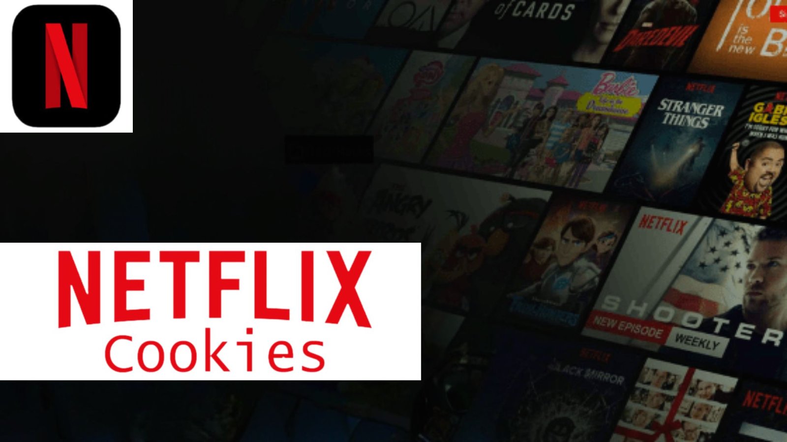 Netflix premium cookies