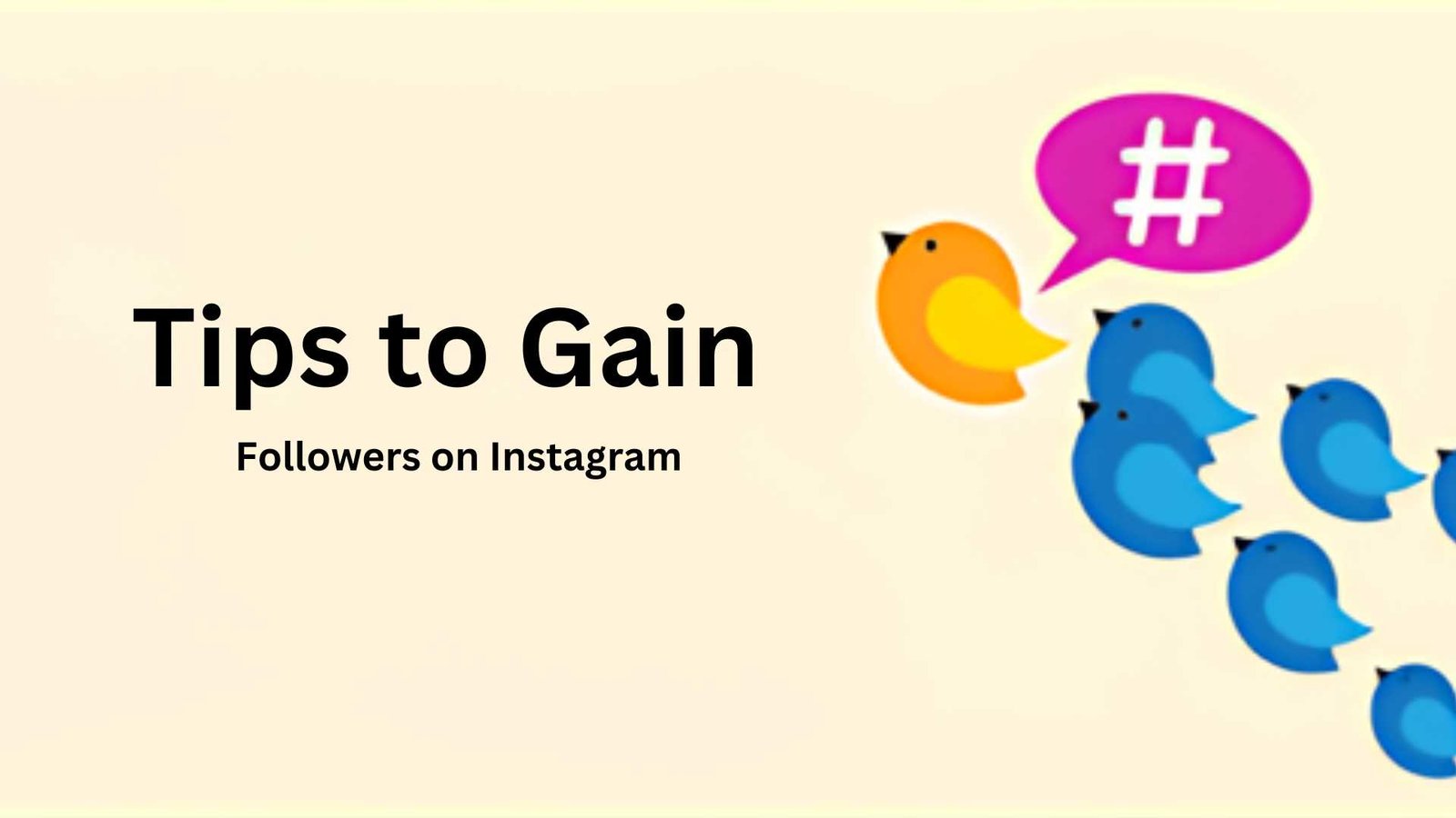 Increase Instagram followers